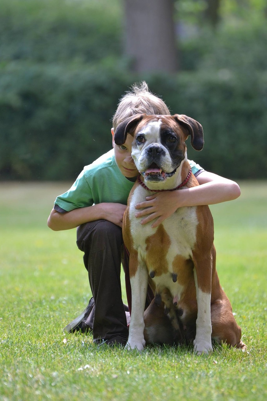 Stressfreies Miteinander zwischen Kind und Hund