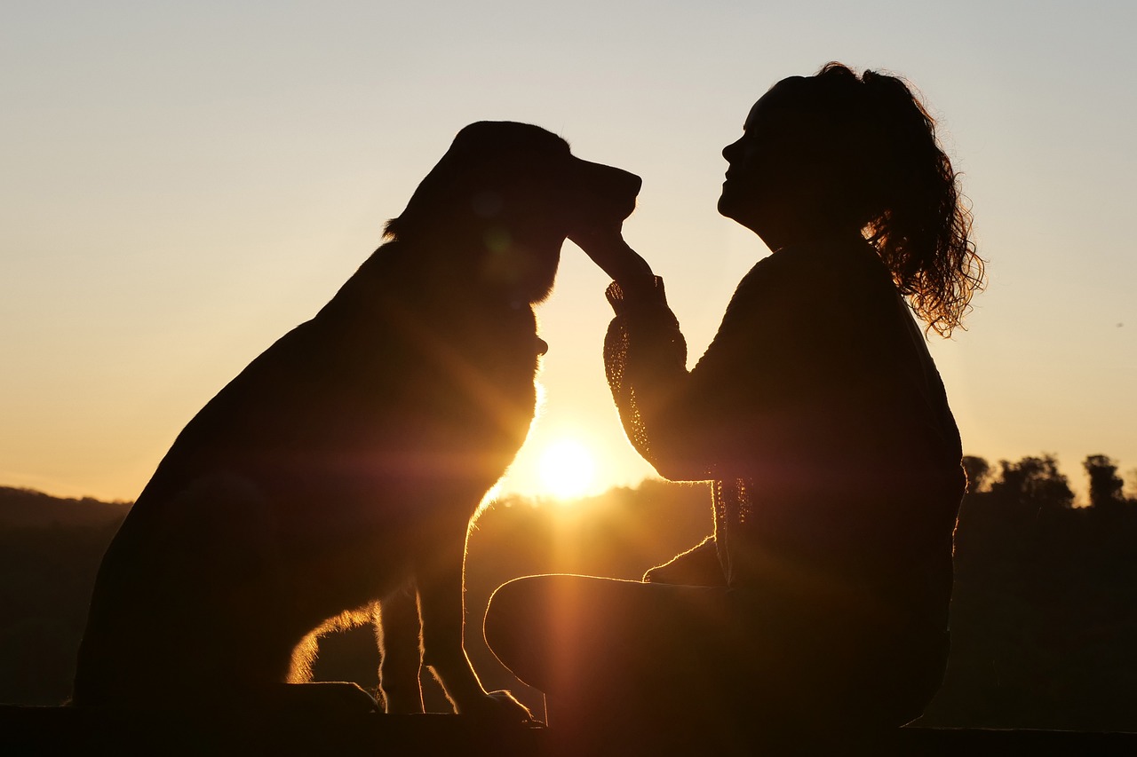Bindung zum Hund stärken