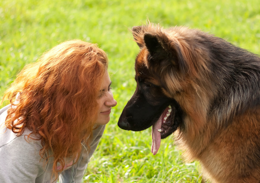 Beziehungsaufbau zwischen Mensch und Hund fördern
