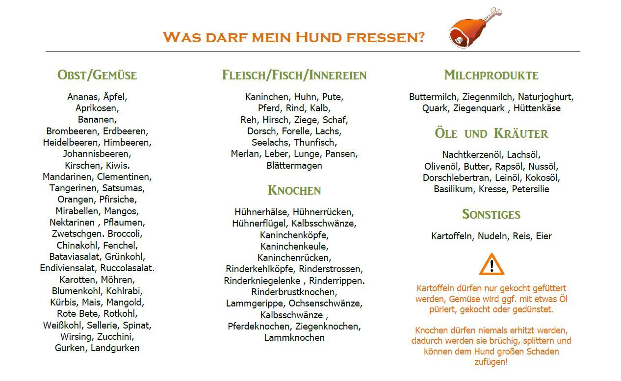 Was Hunde fressen dürfen