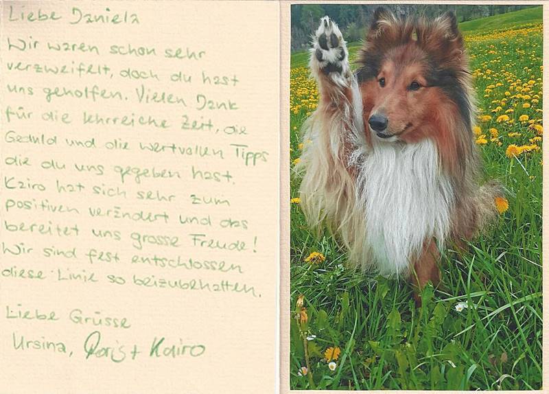 Wertvolle Hilfe bei der Hundeerziehung