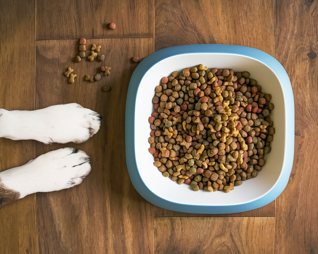 Artgerechte Ernährung bei Hunden mit ANiFiT