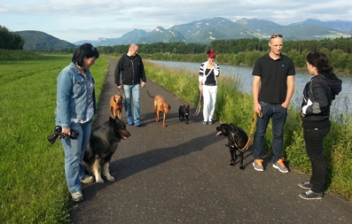 Glückliches Mensch-Hund-Team mit 1x1 Hundetraining