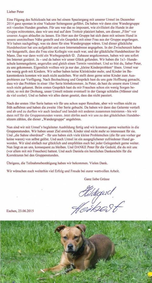 Erfolgreiches Training mit Hund